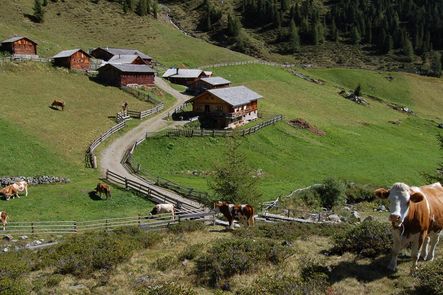 Ochsenfeld Alm