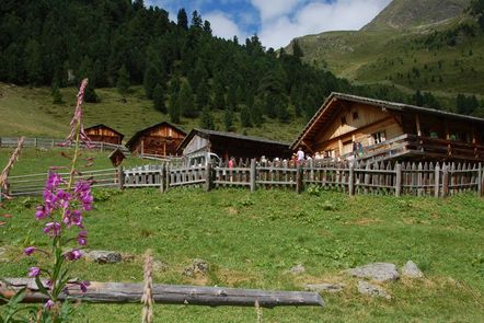 Ochsenfeld Alm