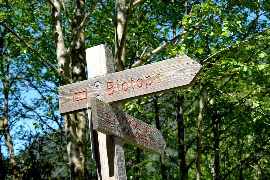 Biotop Rasen Antholz