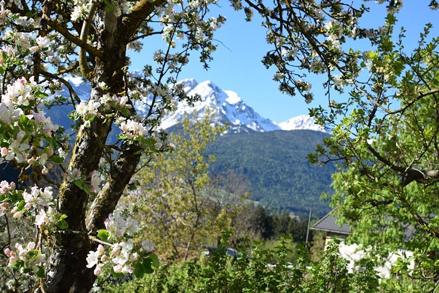 Frühling in den Bergen