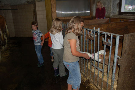 Kälbchen Peterer Hof