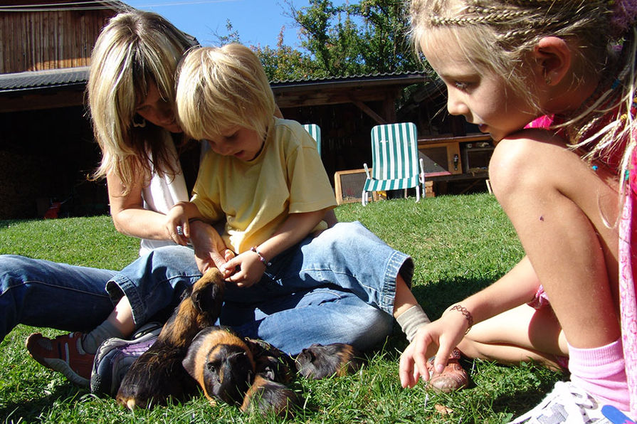 Meerschweinchen Peterer Hof