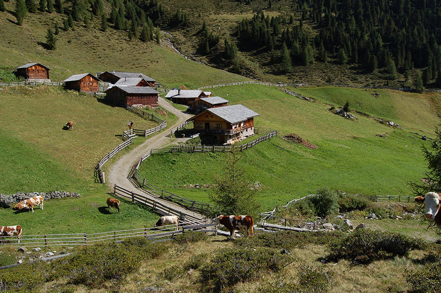 Ochsenfeld Alm