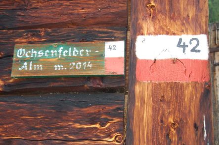 Ochsenfeld Alm