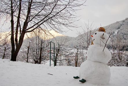 Schneemann Peter Hof