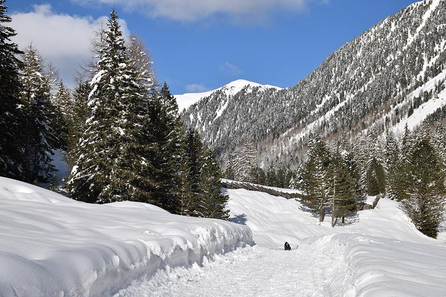 Südtirol im Winter