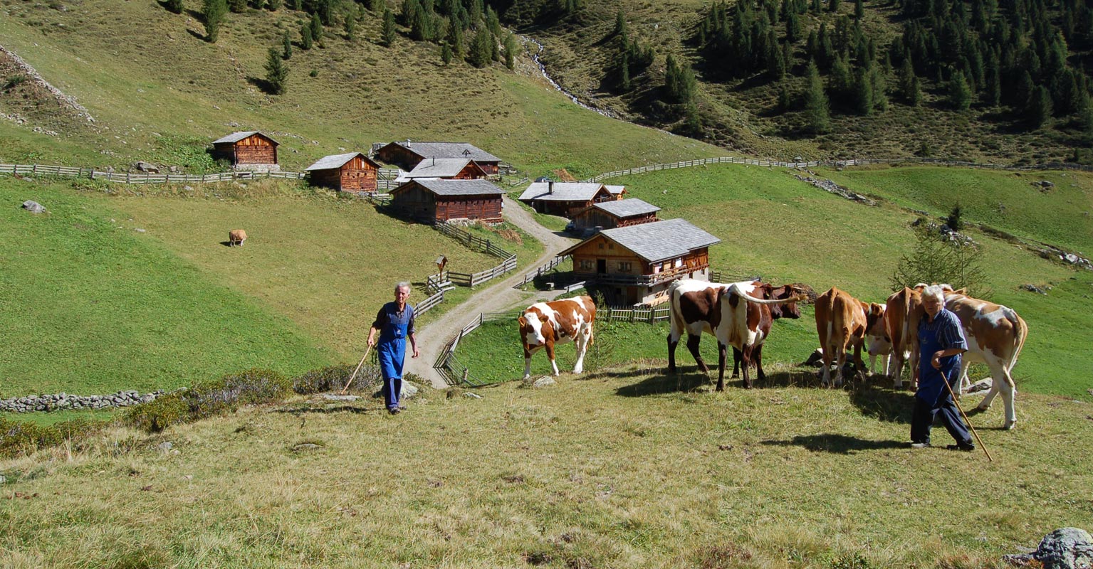 Ochsenfeld Alm Peterer Hof