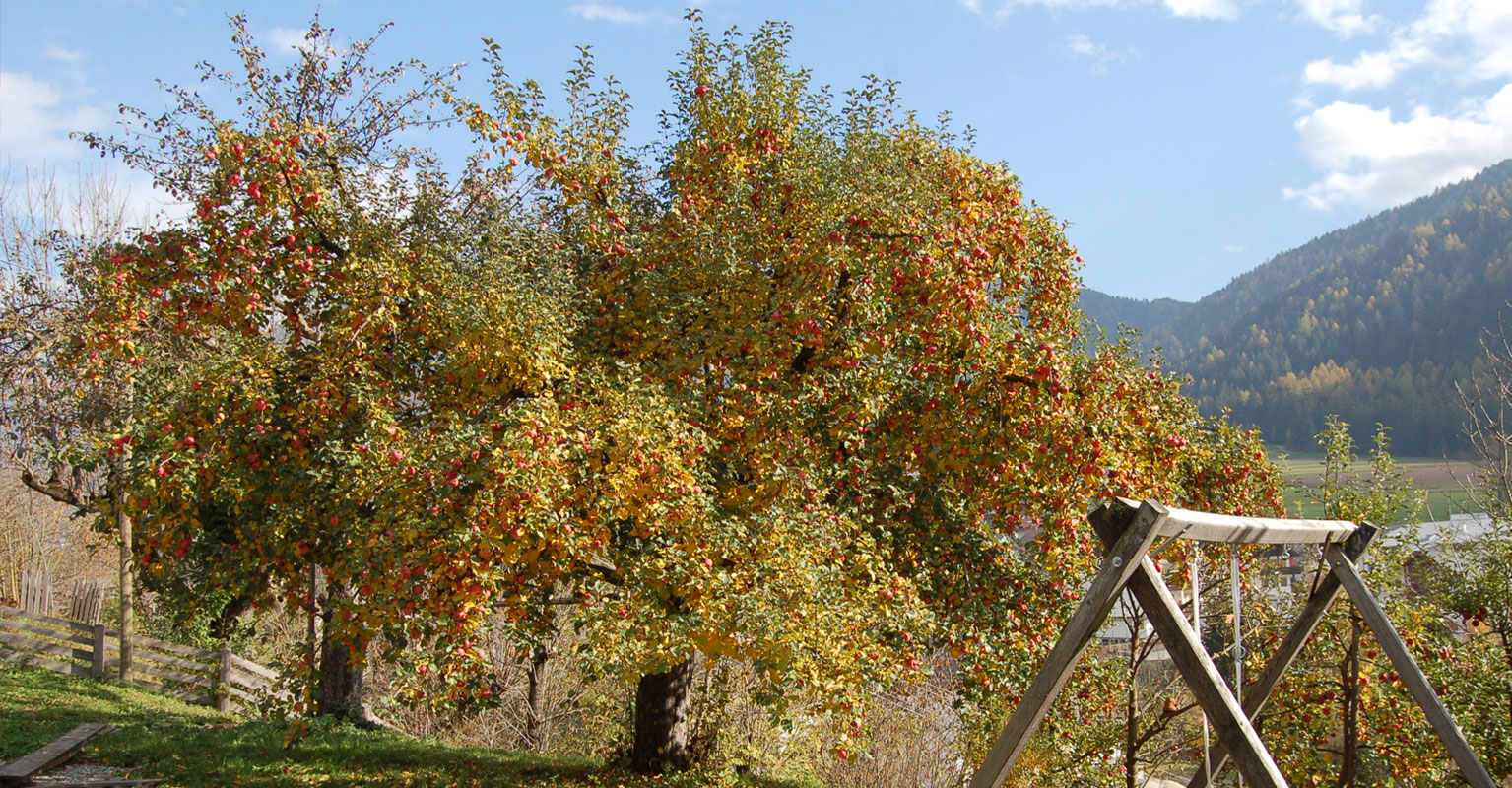 Urlaub auf dem Bauernhof
